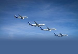 What does the surveyor in the aviation industry What does the surveyor in the aviation industry